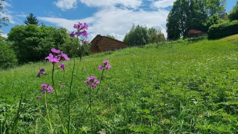 Prodej stavebního pozemku, 1023 m2, Bernatice
