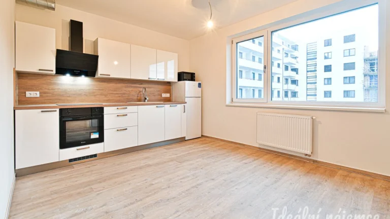 Pronájem bytu 2+kk, Jižní, Horní Heršpice, 40 m2