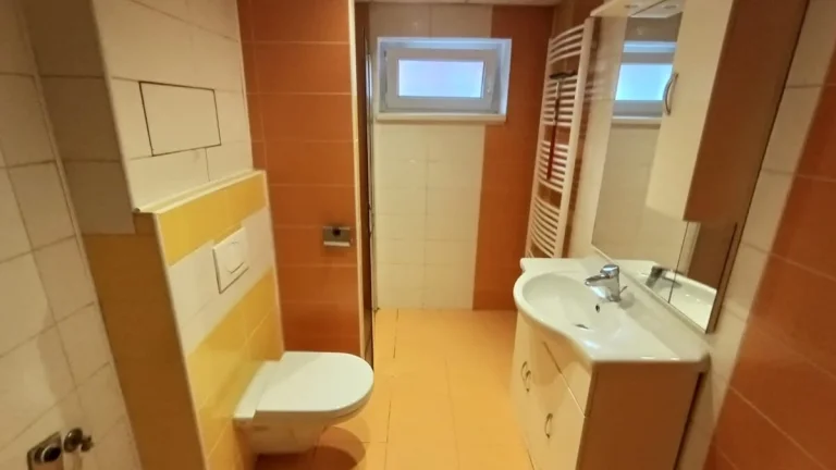 1+1,Karla Buriana, Chomutov
