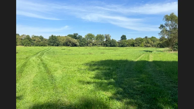 pozemek v Borohrádek 25628 m