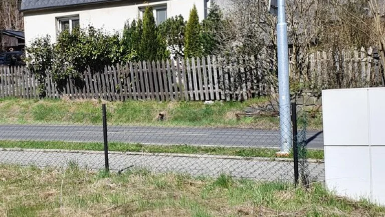 Pronájem domu + pozemek Ludvíkov pod Pradědem