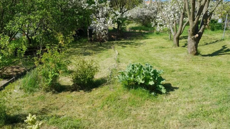 Pronájem zahrady, 376 m2 - Běloky, ev.č. 00032