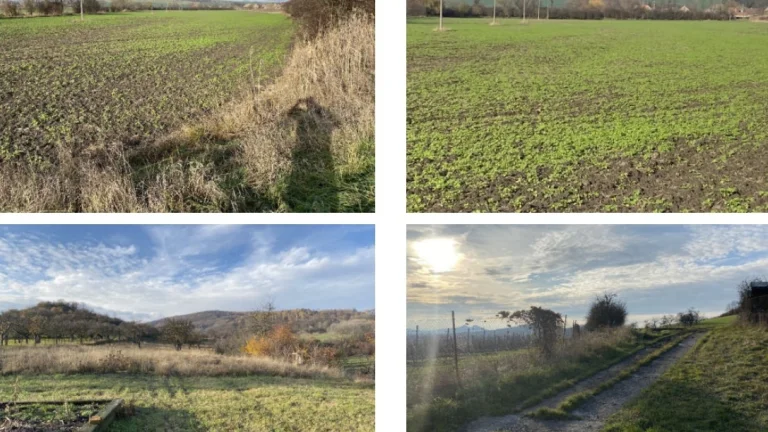 Soubor pozemků 153 048 m2 v k.ú. Chrášťany, ID 7262e 2705