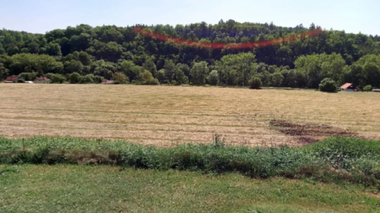 Pozemek 7 029 m2, Kaliště, Praha-východ. ID 7261e 2205