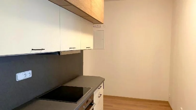 Zcela nový 2+kk, 43m2, P.7, Sternberkova
