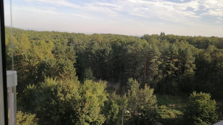 Výměna bytu 1+1 Kohoutovice