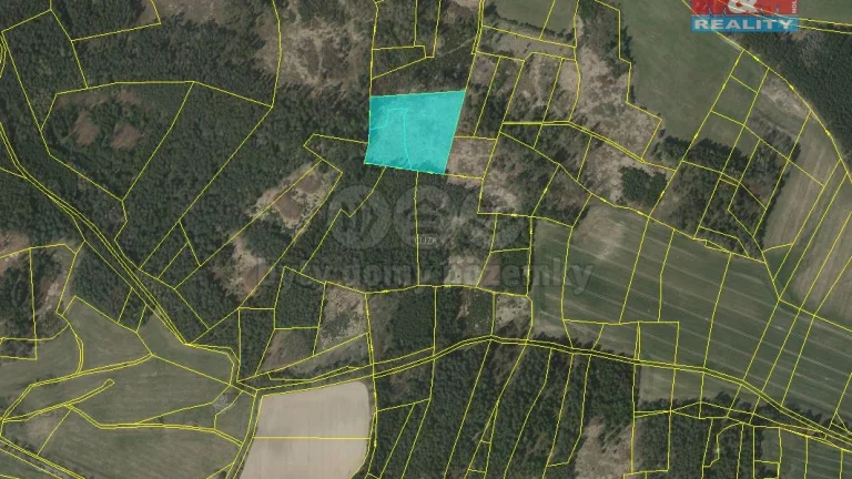 Prodej lesa, 11506 m², Milejovice