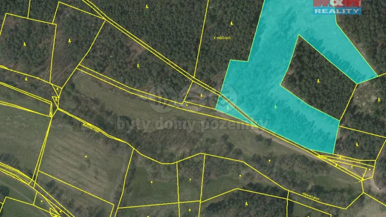 Prodej lesa, 26262 m², Přechovice