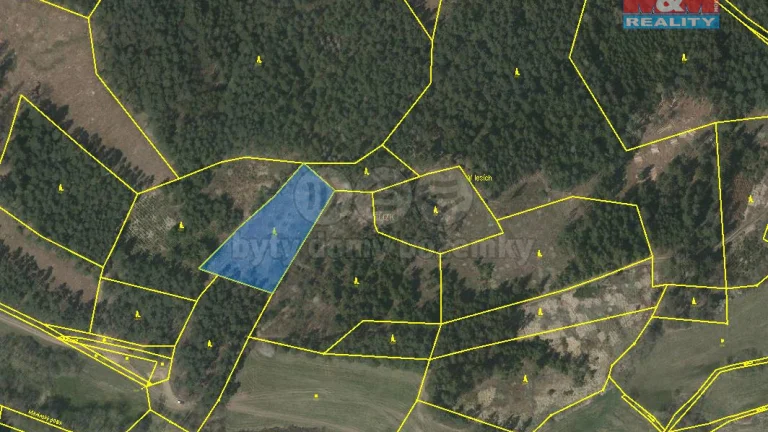 Prodej lesa, 4046 m², Přechovice