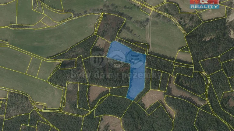 Prodej lesa, 24708 m², Přechovice