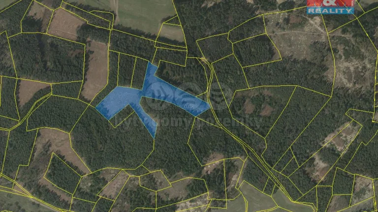 Prodej lesa, 22084 m², Přechovice