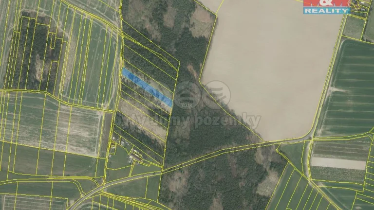Prodej lesa, 3630 m², Stehlovice
