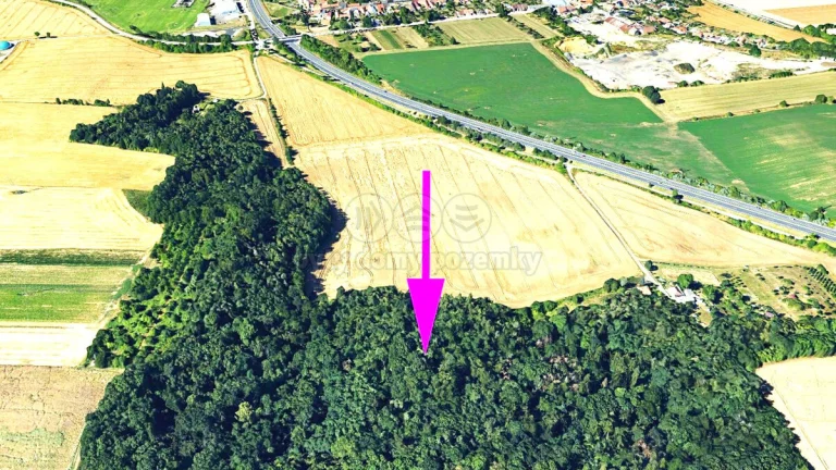Prodej lesa, 4332 m², Držovice