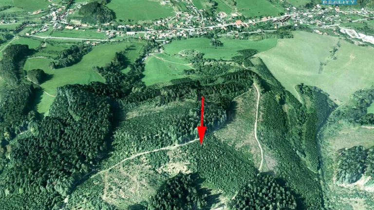Prodej lesa, 8758 m², Lhota u Vsetína