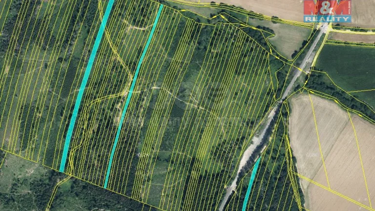 Prodej lesa, 28654 m², Nová Hradečná