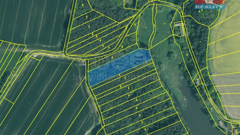 Prodej lesa, 5318 m², Borovany