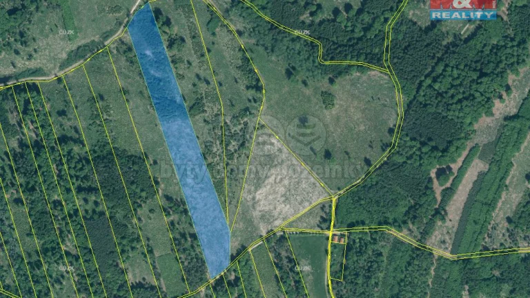 Prodej lesa, 36550 m², Jetětice