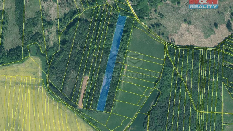Prodej lesa, 17738 m², Jetětice