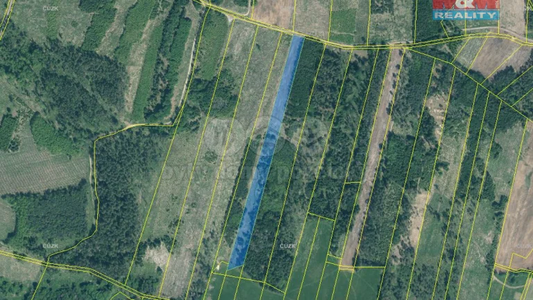 Prodej lesa, 13685 m², Jetětice