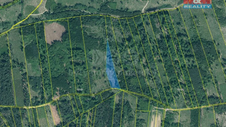 Prodej lesa, 7736 m², Jetětice