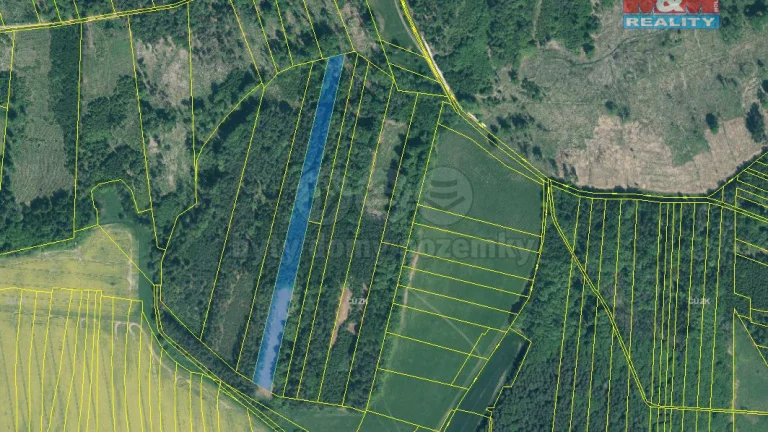Prodej lesa, 12669 m², Jetětice