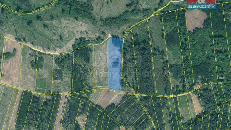 Prodej lesa, 31810 m², Jetětice