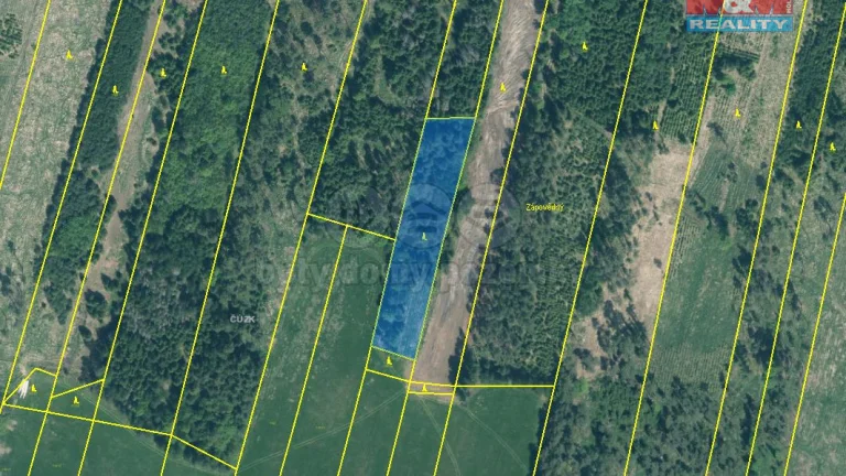 Prodej lesa, 4993 m², Jetětice