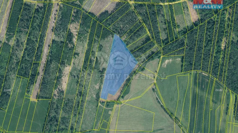 Prodej lesa, 32445 m², Jetětice