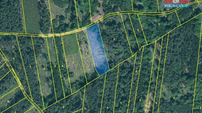 Prodej lesa, 5033 m², Jetětice