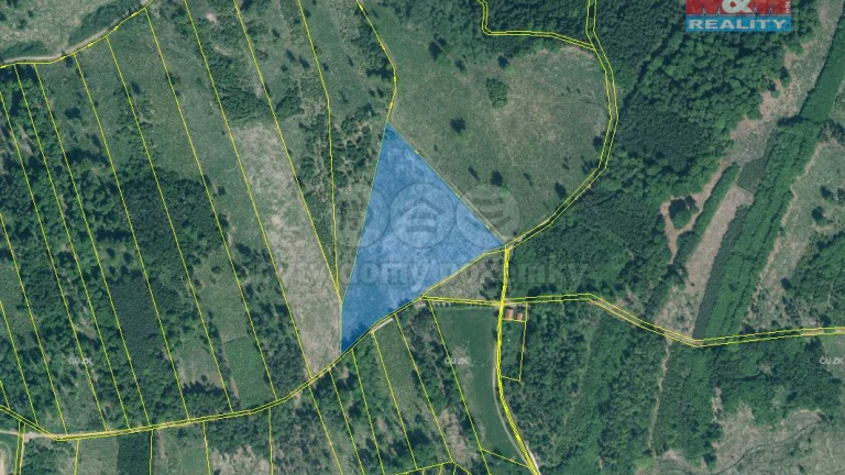 Prodej lesa, 29198 m², Jetětice