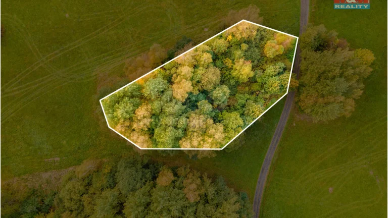 Prodej ostatní, 1966 m², Luby