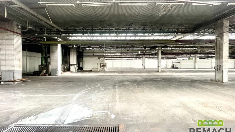 Pronájem, Skladové prostory, Komerční prostory - 1245 m2, Ku