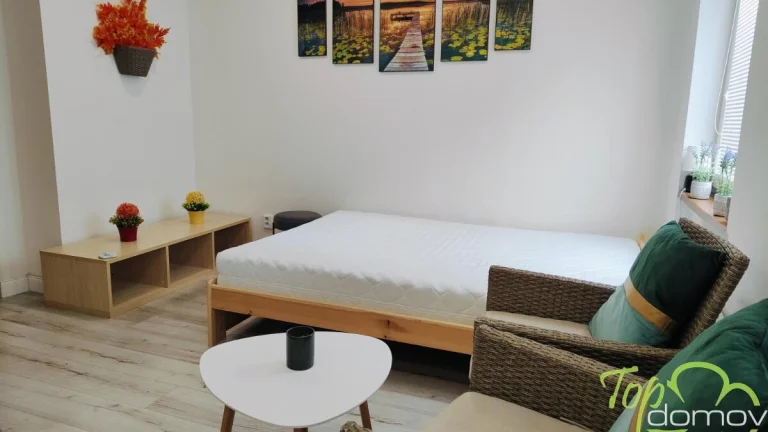 Pronájem bytu 1+kk po kompletní rekonstrukci v Orlové