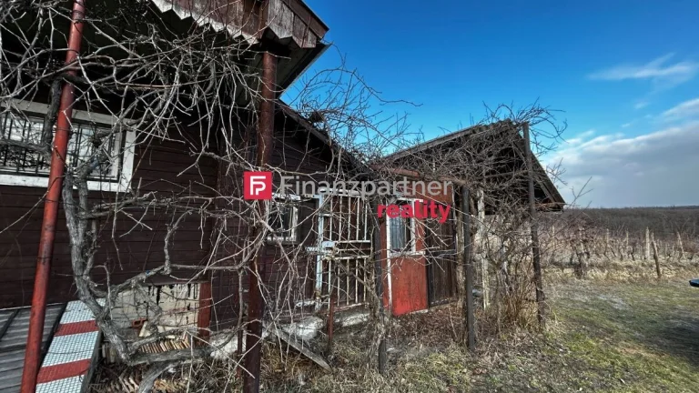 Predaj vinice s chatkou v obci Viničky, okres Trebišov