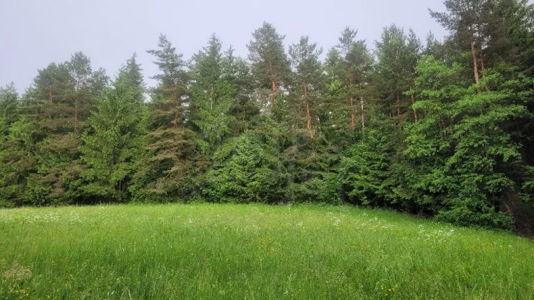 Rekreačný pozemok uprostred lesa pri Považskej Bystrici