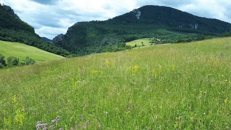 VÄČŠÍ POZEMOK S VÝHĽADOM NAD OBCOU ZÁSKALIE PRI POVAŽSKEJ