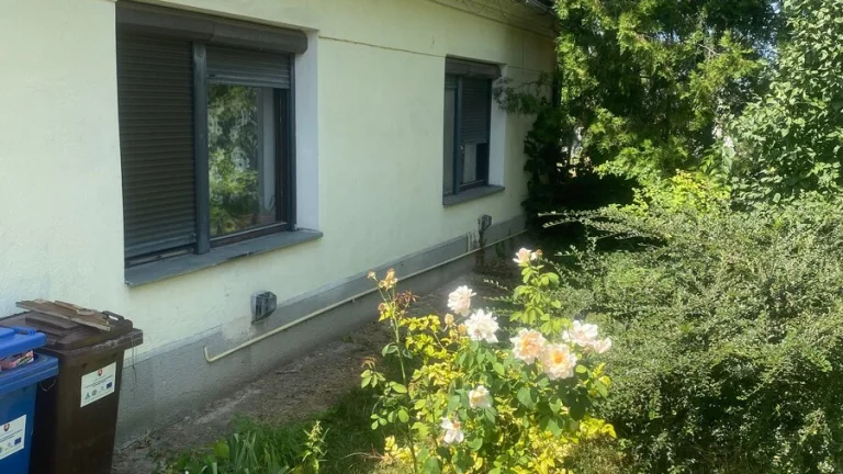 Starší rodinný dom