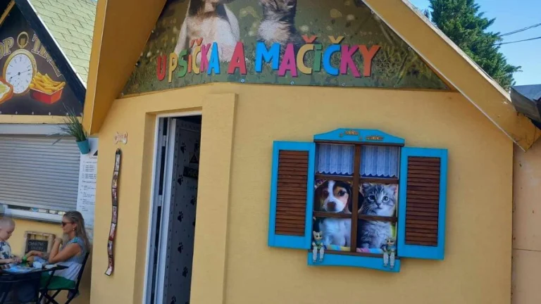 Na predaj Obchodný priestor v Nitre