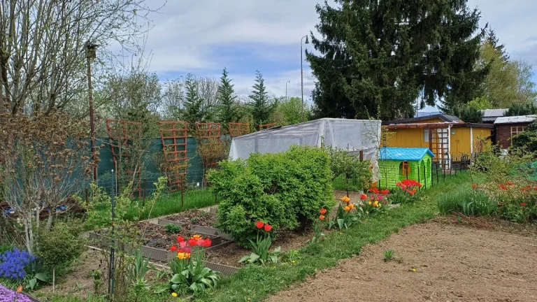 🌿 Záhradka v Martine (za Košútmi) – 120 m², chatka