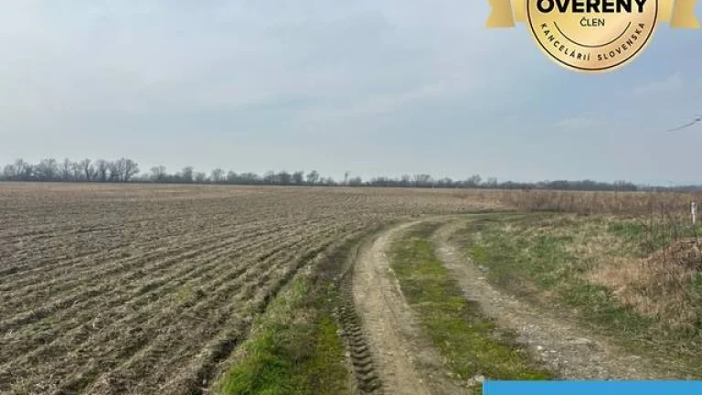 Zálesie orná pôda na predaj 3237m2 /21,- Eur / m2