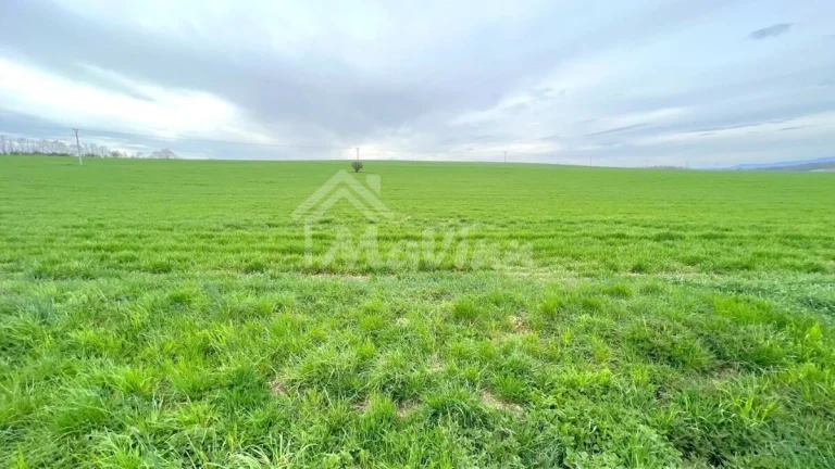 PREDAJ Pozemky 2000 m² Pravotice