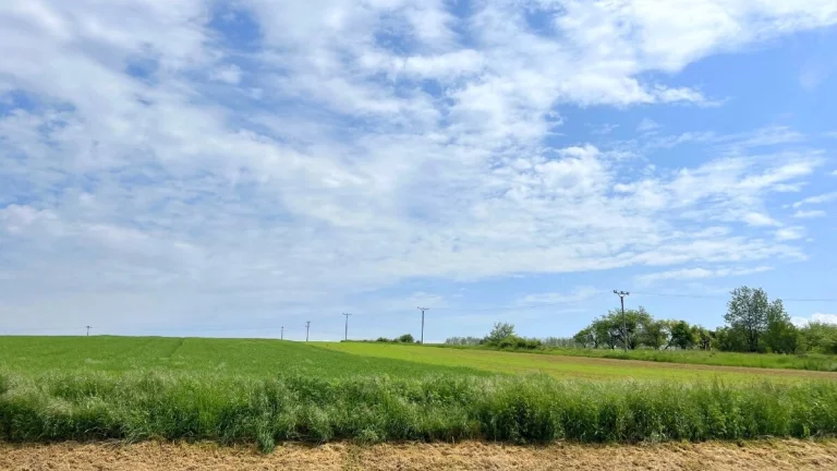Investičná príležitosť POZEMOK 15 000 m² Malé Hoste