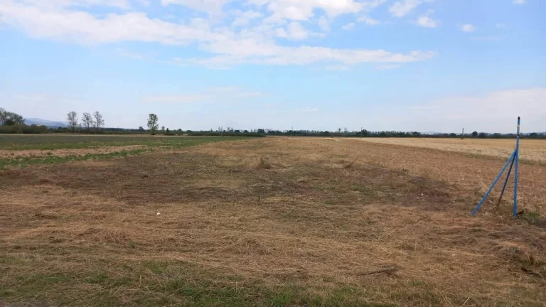 Pozemok - PARCHOVANY (okr. Trebišov)