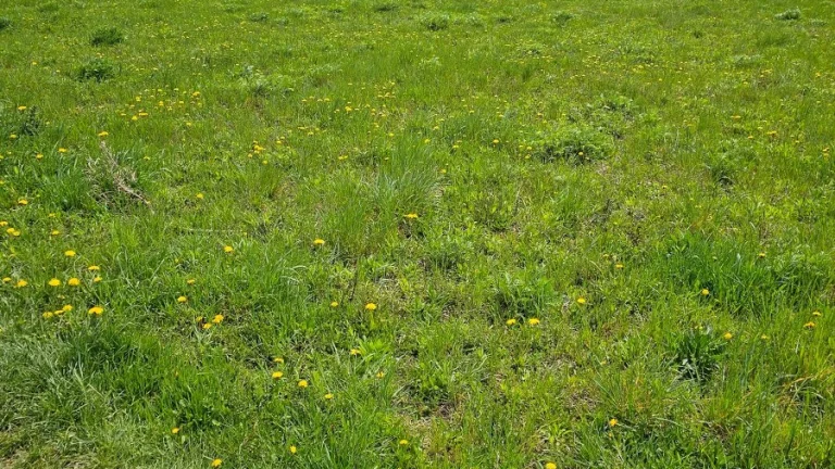Pozemok na priemyselné využitie 3151 m2 - KOŠICE - LUNÍK IX
