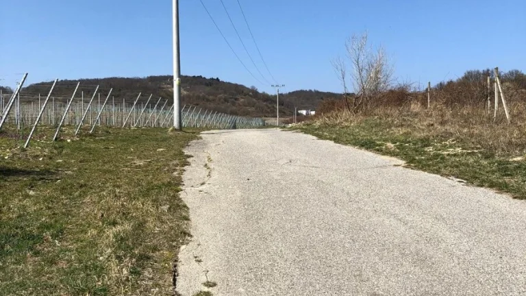 Areté real- predaj vinice