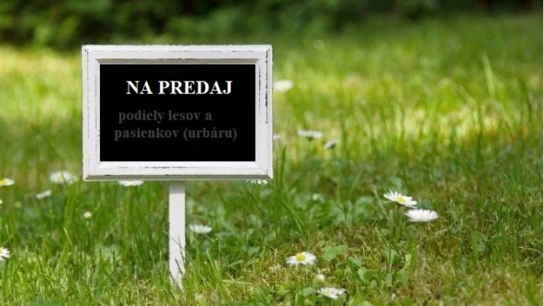 Košeca -3.877 m2 LESOV (urbáru) - PREDAJ