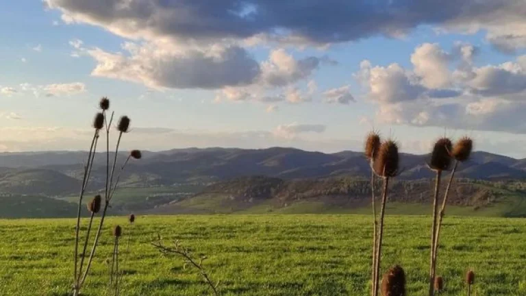 PONÚKNITE LESNÝ POZEMOK ALEBO ORNÚ PÔDU, TTP