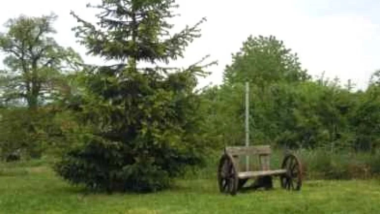 Pekný pozemok v zastavanej časti