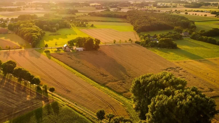 Predaj pozemkov v okrese Rimavská Sobota - 14 4429 m2