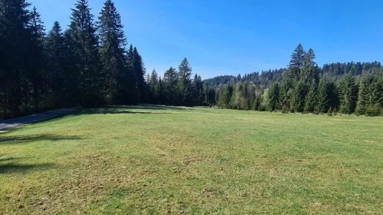 Unikátna príležitosť na Krpáčove - Krásna vila v predaji
